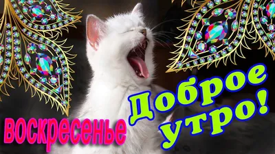 🎺 УРА ВОСКРЕСЕНЬЕ! 🎺 ДОБРОГО УТРА / ДОБРОЕ УТРО / С ДОБРЫМ УТРОМ / ДОБРОГО  УТРА ЛЮБИМОЙ / КАРТИНКИ - YouTube