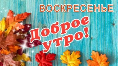 воскресенье #сдобрымутром #доброеутро #утродоброедрузья #пожеланияотд... |  TikTok