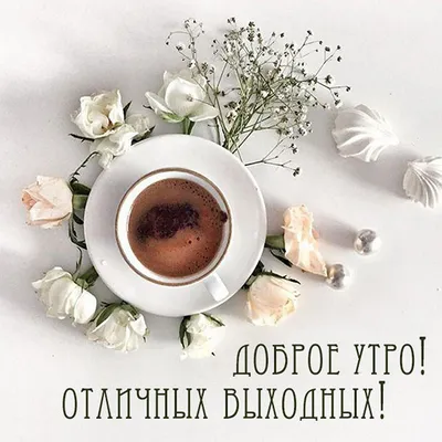 Доброе утро красивые картинки мотивация кофе море и цветы картинки юм | Доброе  утро ! | Постила