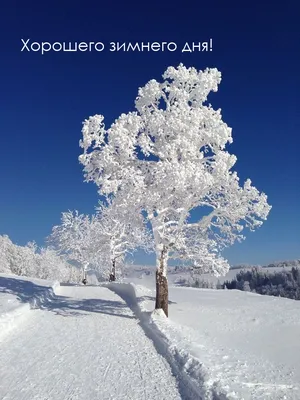 красивые видео хорошего зимнего дня｜Поиск в TikTok