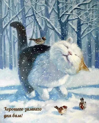 120 красивых зимних открыток с добрым днем
