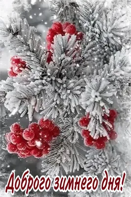 Отличного Зимнего Дня Картинки Красивые – Telegraph