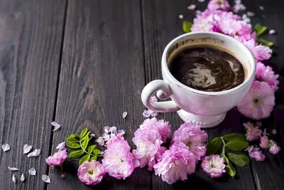 Обои на телефон. Раскладка | Arte del caffè, Sfondi floreali, Immagini di  fiori