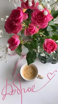 Утренний кофе | Розовые розы, Букет цветов, Розы