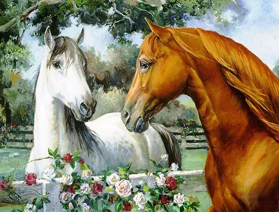 Фотографии красивых лошадей, картинки и рисунки коней