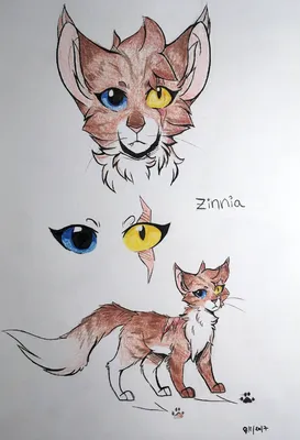 Картинки \"Коты-воители\" - рисунки для срисовки (71 фото)
