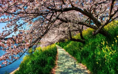 Люблю красивые места, где прекрасная природа 😊 #природа #весна #пейзаж  #пейзажи #фотонателефон #весеннеенастрое#наединесприродой… | Instagram
