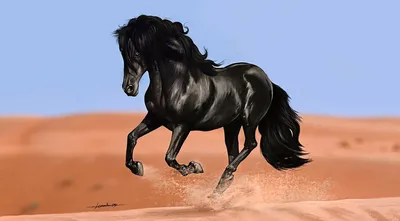 Красивые бесплатные новые фото черный конь, произведения искусства, бег  высокого качества на рабочий стол. | Лошадь обои, Черные лошади,  Произведения искусства
