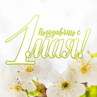 Картинки с Днем весны и труда: красивые открытки к 1 мая - МК Красноярск