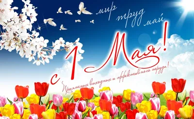 С 1 Мая 2023: новые красивые открытки и поздравления для россиян | Весь  Искитим | Дзен