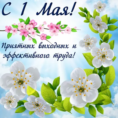 Картинки с Днем весны и труда: красивые открытки к 1 мая - МК Красноярск