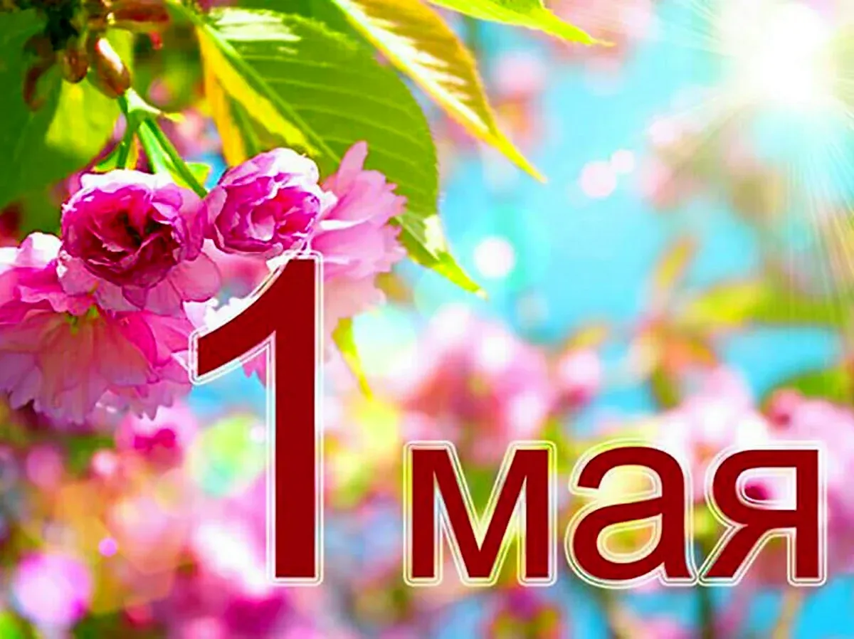 Праздник 1 мая официальное название. 1 Мая. Праздник весны и трада. Поздравление с 1 мая. 1 Мая праздник.