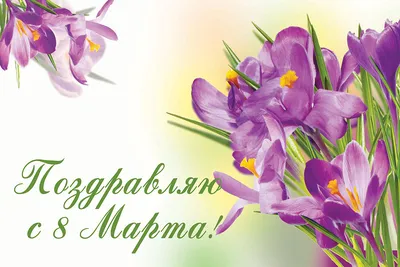 🌹🌹ОБАЛДЕННАЯ КРАСИВАЯ ОТКРЫТКА НА 8 МАРТА !🌷🌻Супер поздравление!🌺🌹С  Международным женским днем🌼🌸 - YouTube