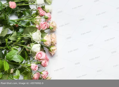 ᐉ Картина на холсте Красивые цветы на белом фоне 89x53 см (822-41)