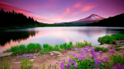 Фон рабочего стола где видно горное озеро, цветы, закат, природа, очень красивые  обои для ПК, Mountain lake, flowers, sunset, nature, very beautiful  wallpapers for PC