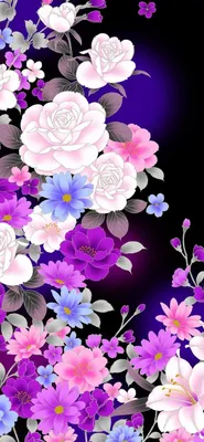 Обои на телефон роза, цветок, крупным планом, романтика, розовый, красивый  - скачать бесплатно в высоком качестве из категории \"Цветы\"
