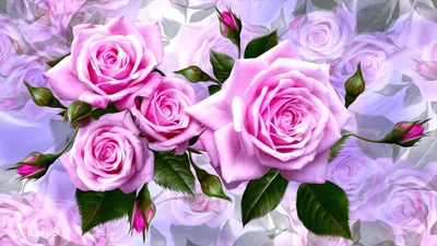 Обои красивые розовые цветы, цветок, Роза, розовый, цветочный букет на  телефон Android, 1080x1920 картинки и фото бесплатно