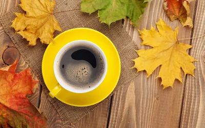 Чашка кофе осенью рисунок - 70 фото