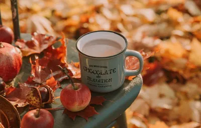 Мудрость жизни - Осень кофе на завтрак варила… как... | Facebook