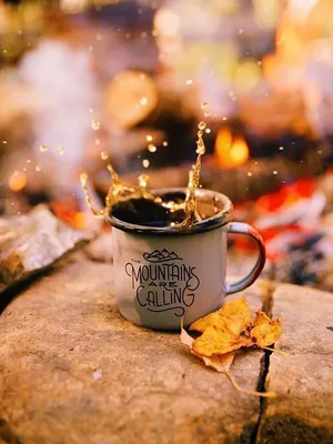 Теплый свитер, чашка кофе, осенние листья и хлопковые цветы на деревянном  фоне :: Стоковая фотография :: Pixel-Shot Studio
