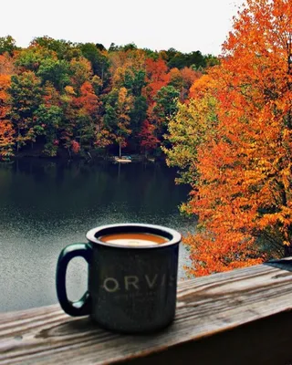 Красивые картинки осень и кофе - 77 фото