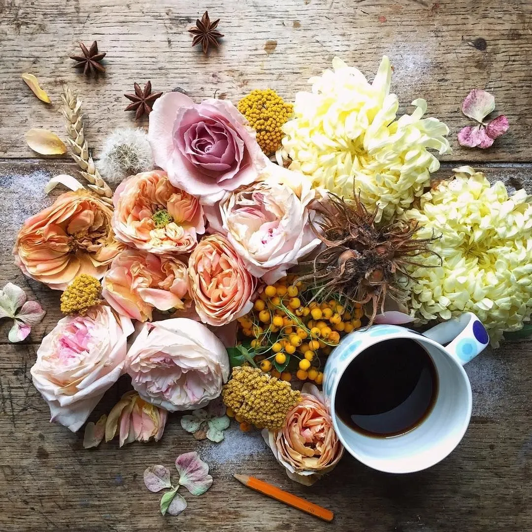 Доброе утро pinterest