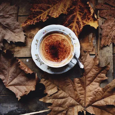 Красивая осенняя открытка с 1 ноября с листьями клёна и кофе - Скачайте на  Davno.ru