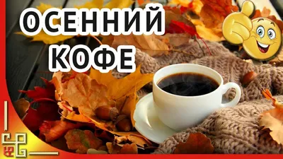 Обои осень, листья, фон, дерево, кофе, colorful, чашка, wood, background,  autumn, leaves, cup, coffee, осенние картинки … | Осенние картинки, Обои,  Блестящие шарики