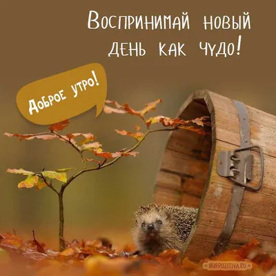 Поздравляем с последним днем осени 2023 — как провести 30 ноября 2023 — красивые  пожелания и цветные картинки — на украинском