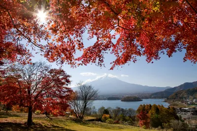 Где самая красивая осень. 16 мест, в которых осенью и впрямь «очей  очарованье»