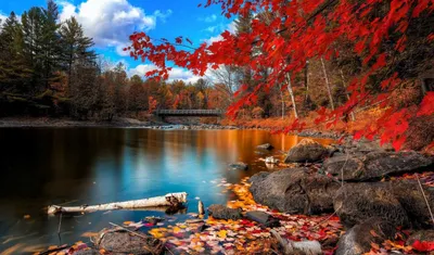 осенний пейзаж как картина природы Стоковое Изображение - изображение  насчитывающей озеро, тени: 261357807
