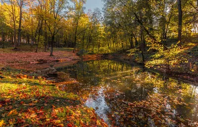 Природа, Осень - Красивые фото обои для рабочего стола комп. windows #1