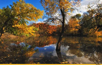 Ловим осень в Новгородской области: билайн рассказал, как создать красивые  кадры для соцсетей
