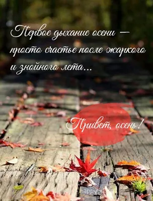 С первым днём осени. Привет, осень. 60 уютных картинок! | Позитивные  цитаты, Осень, Вдохновляющие цитаты