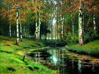 Красивая природа России | Birch tree painting, Painting, Scenery