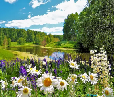 Топ 10 самых красивых мест России: куда поехать на отдых, если хочется  природы