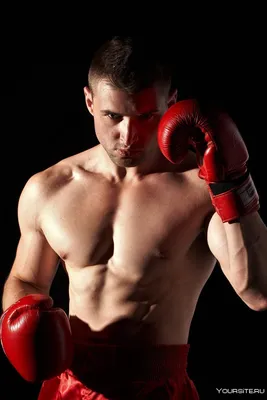 Красивые боксерские перчатки в интернет магазине superkipa.ru. Бесплатная  доставка на весь товар. Тел. 8 800 775 3276.