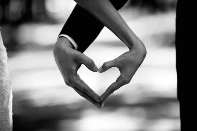 черно-белый любовь чувство руки люди | Relationships love, Hands, Trendy  quotes