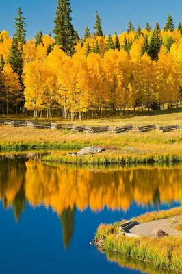 Самые красивые места планеты - Золотая осень в Сейняйоки, Финляндия 🇫🇮  (Seinäjoki, Finland) | Facebook