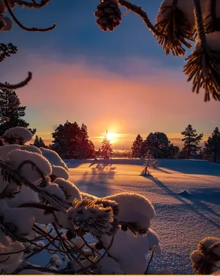 Красивая зима в горах :) - онлайн-пазл