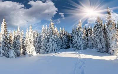 Красивые картинки про зиму фотографии