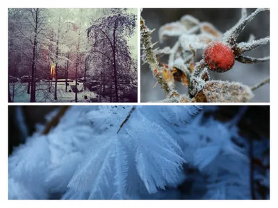 Коллекция фото | красивые картинки про зиму и новый год на рабочий стол