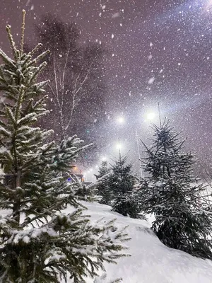 Красивые картинки про зиму (60 лучших фото)