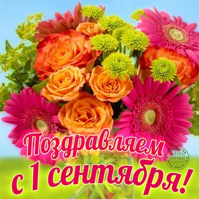 Красивые картинки с 1 сентября