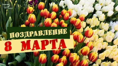 Поздравления с 8 Марта: красивые открытки и душевные пожелания в стихах и  прозе - Телеграф