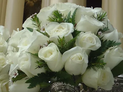 Шикарные белые розы - Цветы, экстерьер, сад - Mytrade.kz