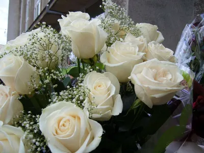 Белые розы на белом фоне с копировальным пространством Красивые цветы с  видом сверху и выборочным фокусом Свадебная карточка Стоковое Изображение -  изображение насчитывающей картина, торговля: 158316969