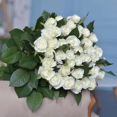 Букет белых роз с днем рождения - 67 фото