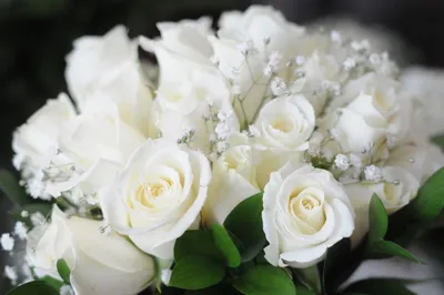 Купить заказать красивый букет с белыми розами! - Пермь. Доставка на дом