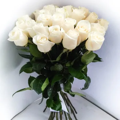 Букет белых роз открытка - красивые фото